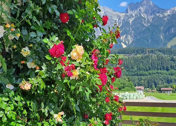 Madreit Dom wakacyjny *